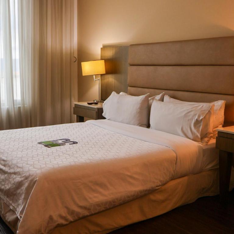 Holiday Inn Bucaramanga Cacique by IHG - Habitación Estándar adaptada para personas de movilidad reducida - 1 cama grande - 2