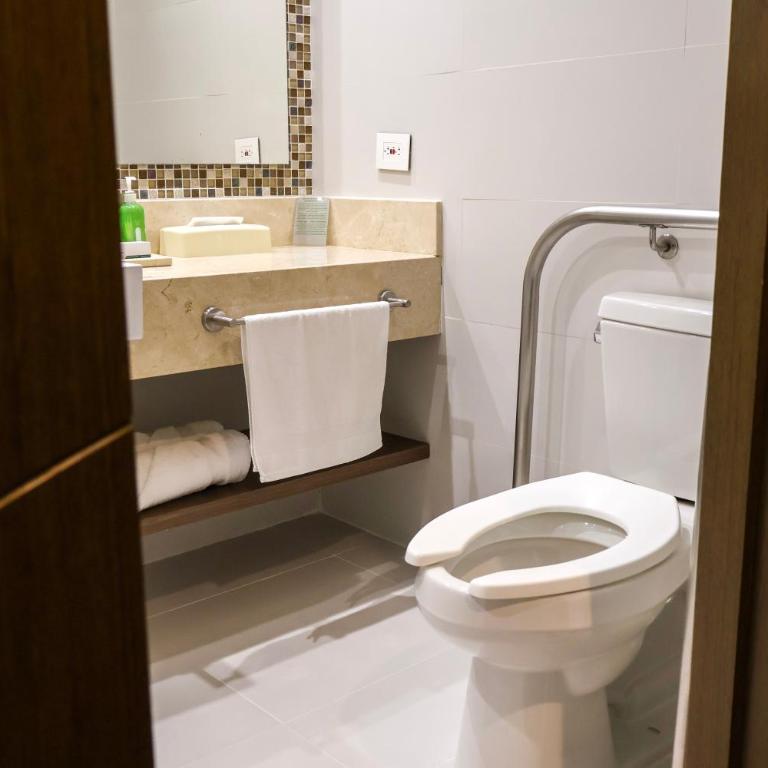 Holiday Inn Bucaramanga Cacique by IHG - Habitación Estándar adaptada para personas de movilidad reducida - 1 cama grande - 4
