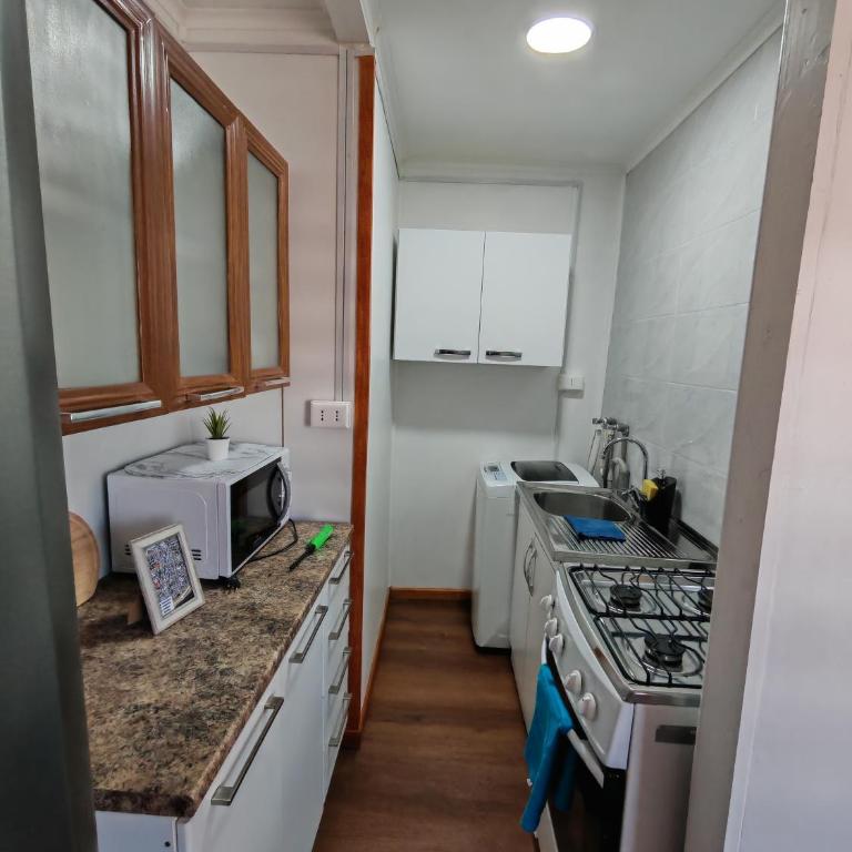 Ruka Austral - Apartamento de 1 dormitorio - 11