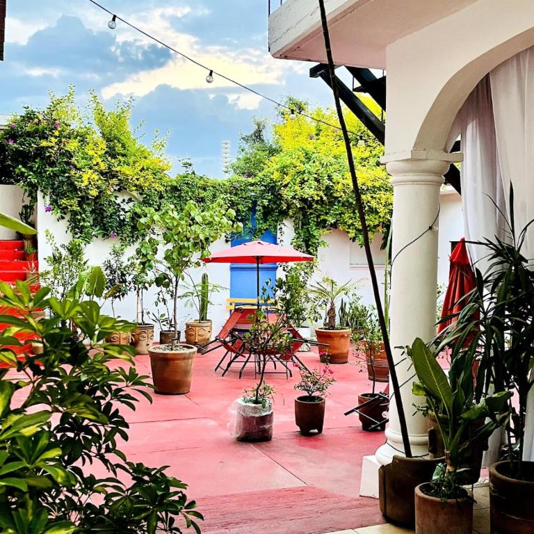Central Oasis Suite with Terrace Patio Jalatlaco - Apartment mit 1 Schlafzimmer - 2
