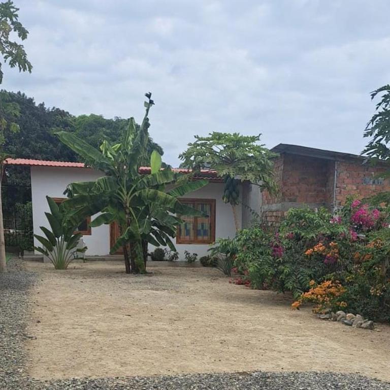 Rincón del Pacífico - Apartamento de 2 dormitorios - 6