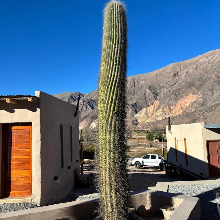 Los Cardones - Apartamento de 1 dormitorio - 9