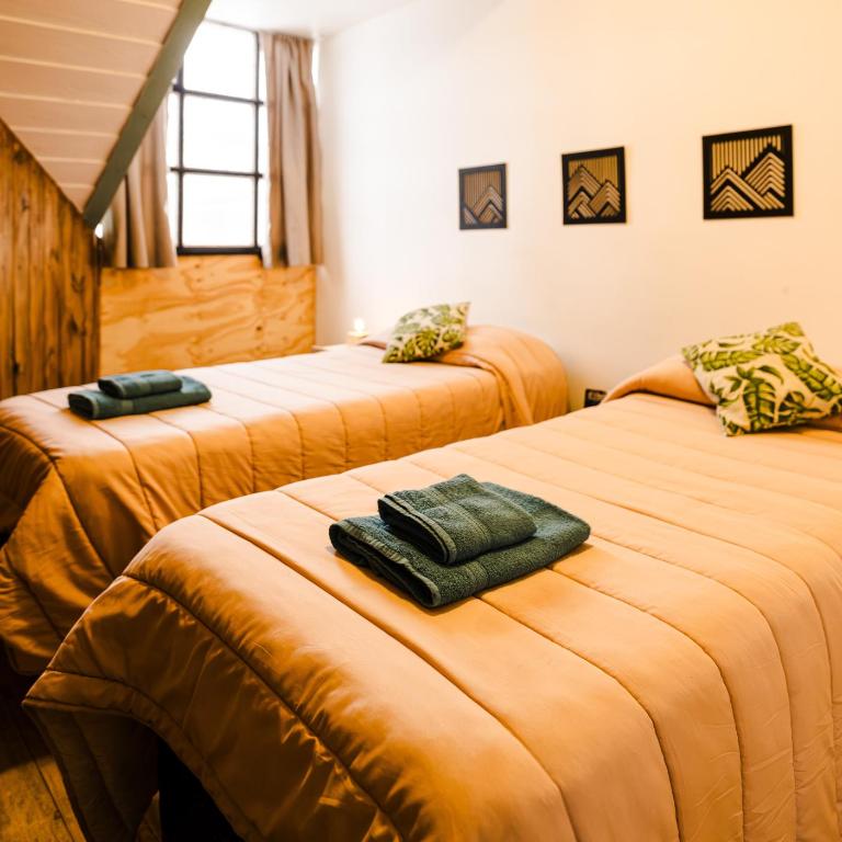 Cerro Chaltén House - Deptos - Apartamento con vistas y balcón - 14