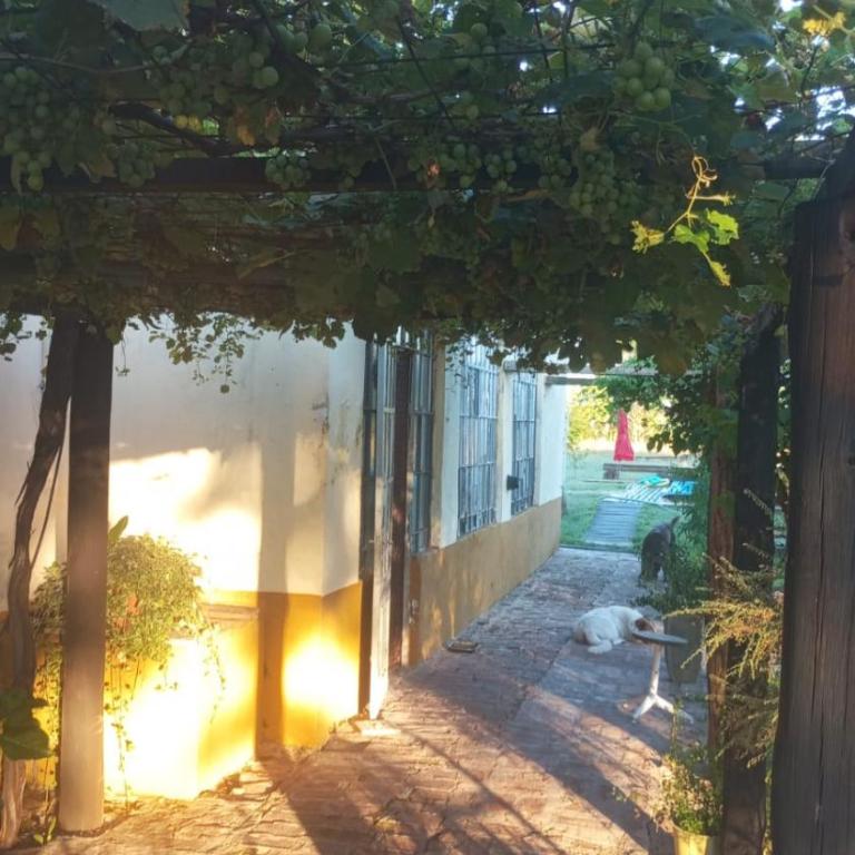 Chacra La Elda - Casa de 3 dormitorios - 29