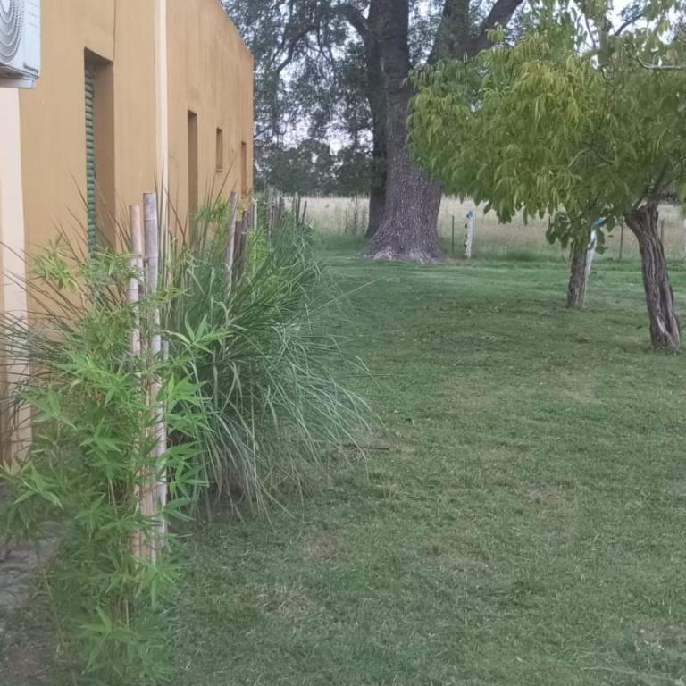 Chacra La Elda - Casa de 3 dormitorios - 51