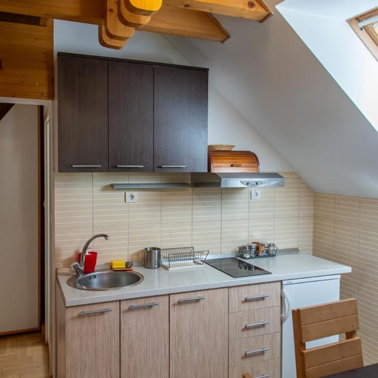 Vila Plamenac - One-Bedroom Apartment (3 Adults) - 3