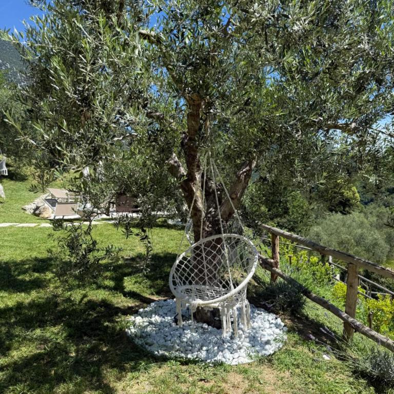 Dream Gardasee Chalet con giardino mediterraneo - Four-Bedroom House - 79