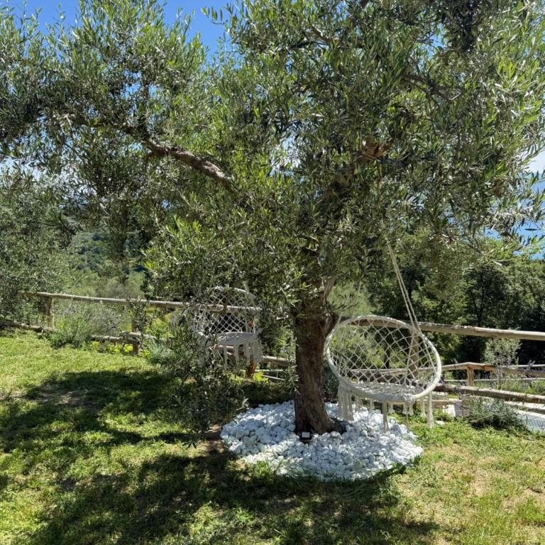 Dream Gardasee Chalet con giardino mediterraneo - Four-Bedroom House - 82