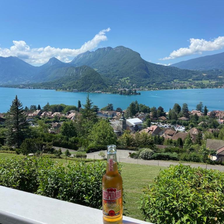 Talloires exceptional lake view - Chalet 3 Chambres - 10