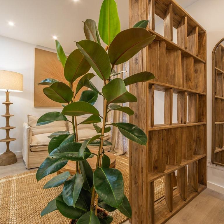 Suite Malabau 02 - Apartamento de 1 dormitorio - 5