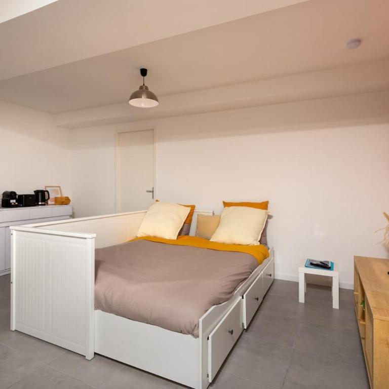 L'oasis urbaine - Studio - 1