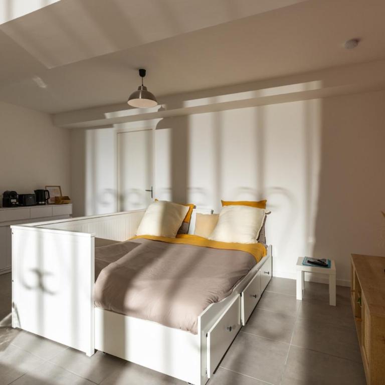 L'oasis urbaine - Studio - 15