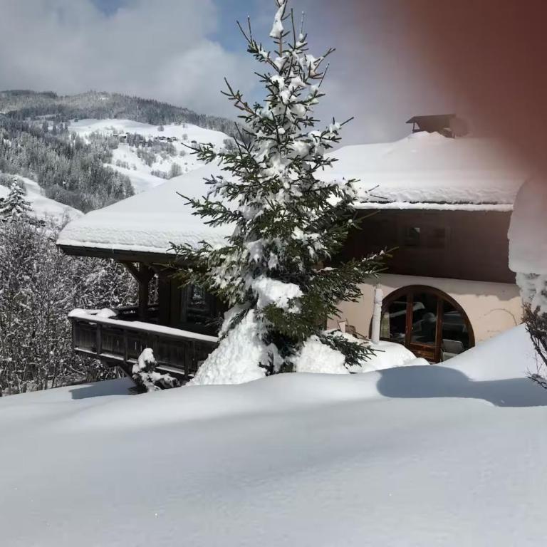 Charmant chalet alpin pour un séjour inoubliable - Chalet - 19