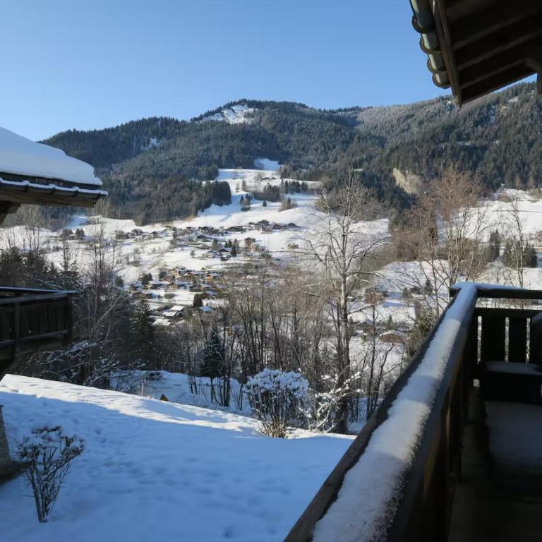 Charmant chalet alpin pour un séjour inoubliable - Chalet - 27