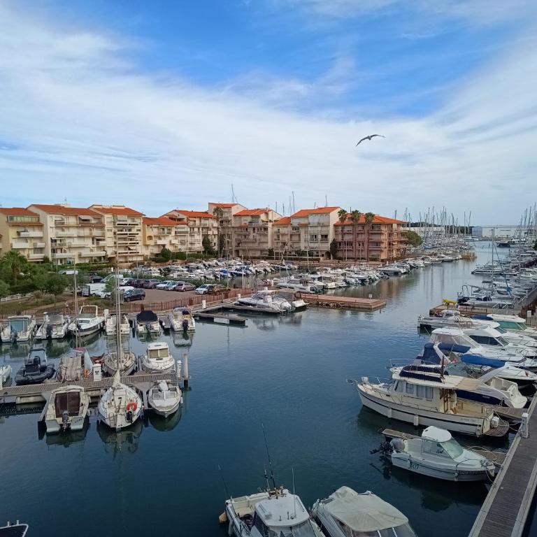 Studio confortable vue sur le port, avec balcon et parking - Studio with Sea View - 32