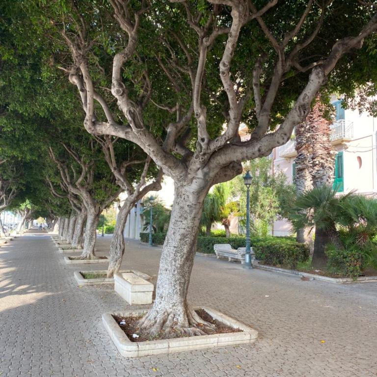 Galli Sea Apartment - Appartamento con 1 Camera da Letto - 26