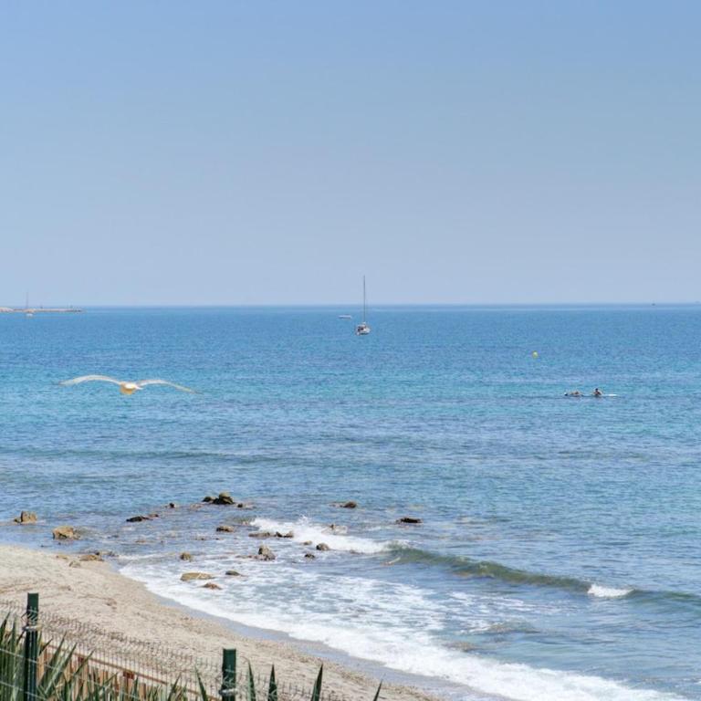 Beachfront with ocean views - Three-Bedroom Apartment - 16