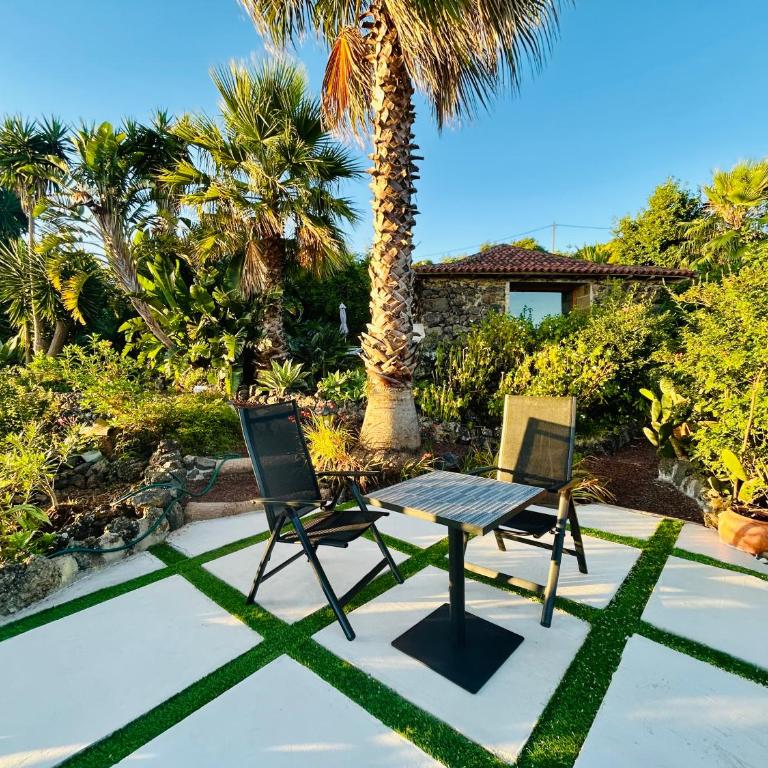 Finca Tenerife - Traumblick, tropischer Garten, viel Platz & Ruhe - Casa con 1 dormitorio - 7