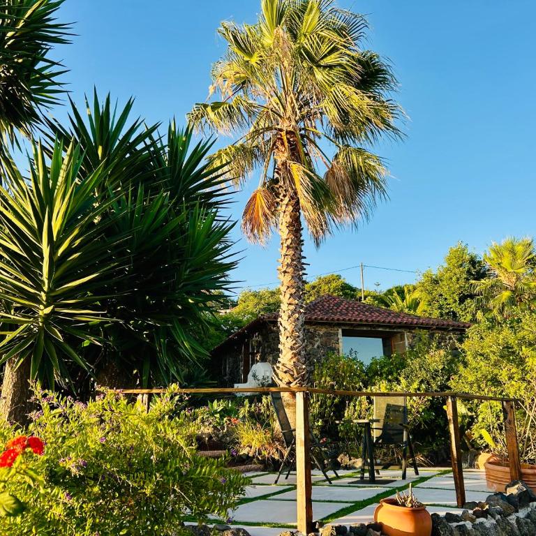 Finca Tenerife - Traumblick, tropischer Garten, viel Platz & Ruhe - Casa con 1 dormitorio - 8