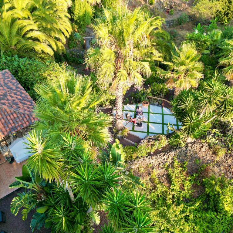 Finca Tenerife - Traumblick, tropischer Garten, viel Platz & Ruhe - Casa con 1 dormitorio - 9