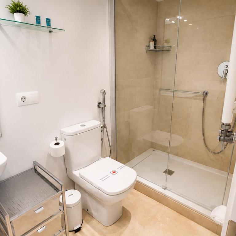 Ohliving Archivo de Indias - Superior Apartment - 14