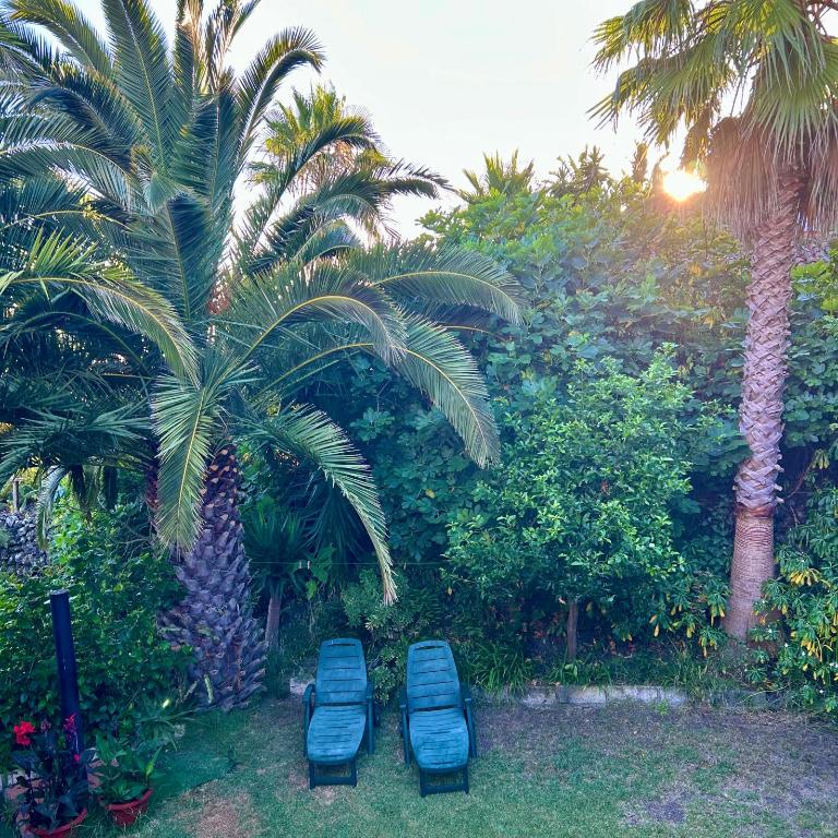 Finca Tenerife - Cozy Studio mit Traumblick & tropischem Garten - Apartamento de 1 dormitorio - 37