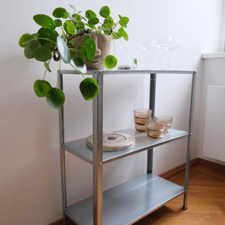 Gemütliche 2-Zimmer-Altbauwohnung - One-Bedroom Apartment - 12
