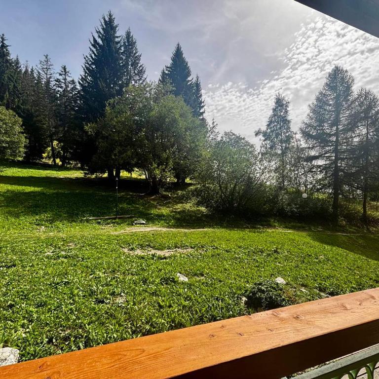 Studio rénové 5 pers, ski aux pieds avec balcon - Studio - 16