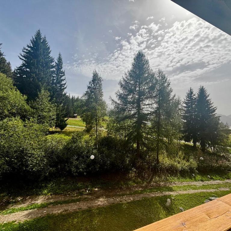 Studio ski aux pieds pour 5 pers, balcon, wifi station - Studio - 19