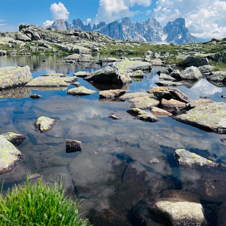 Masi Dolomiti Apartment - Appartamento con 2 Camere da Letto - 11
