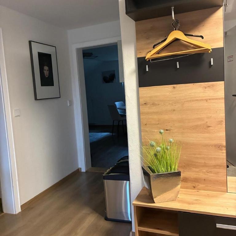 Geräumige Ferienwohnung Zollhaus - Apartment - 9