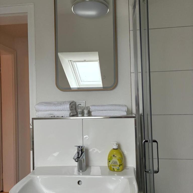 Geräumige Ferienwohnung Zollhaus - Apartment - 15