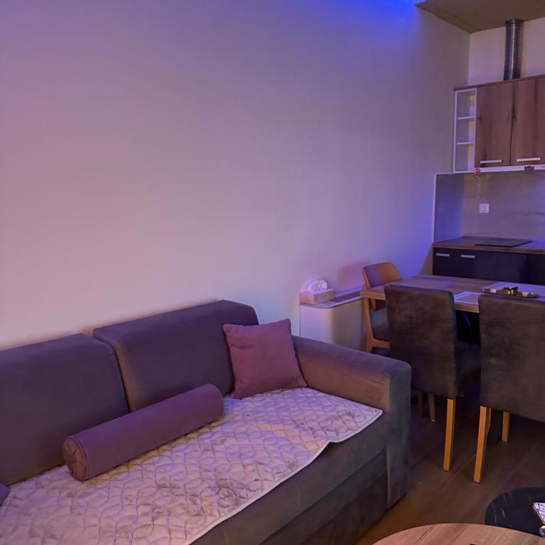 Visual Magic Trebinje - Apartman sa 1 Spavaćom Sobom - 19