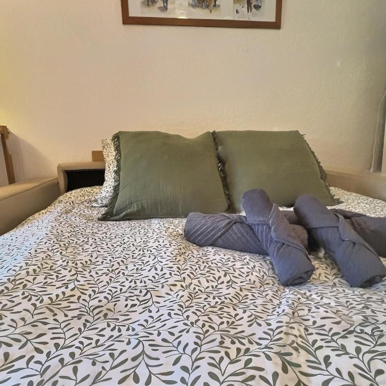 Vert Coudou Studio cosy proche mer - Appartement 2 Chambres - 13