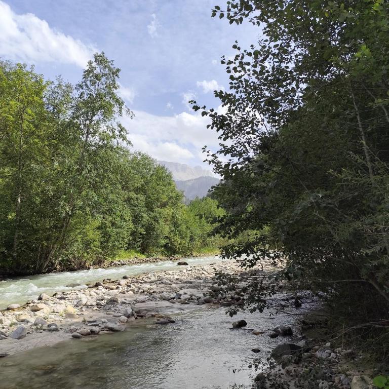 Ciasa Lovara - Chalet con 2 Camere da Letto - 27