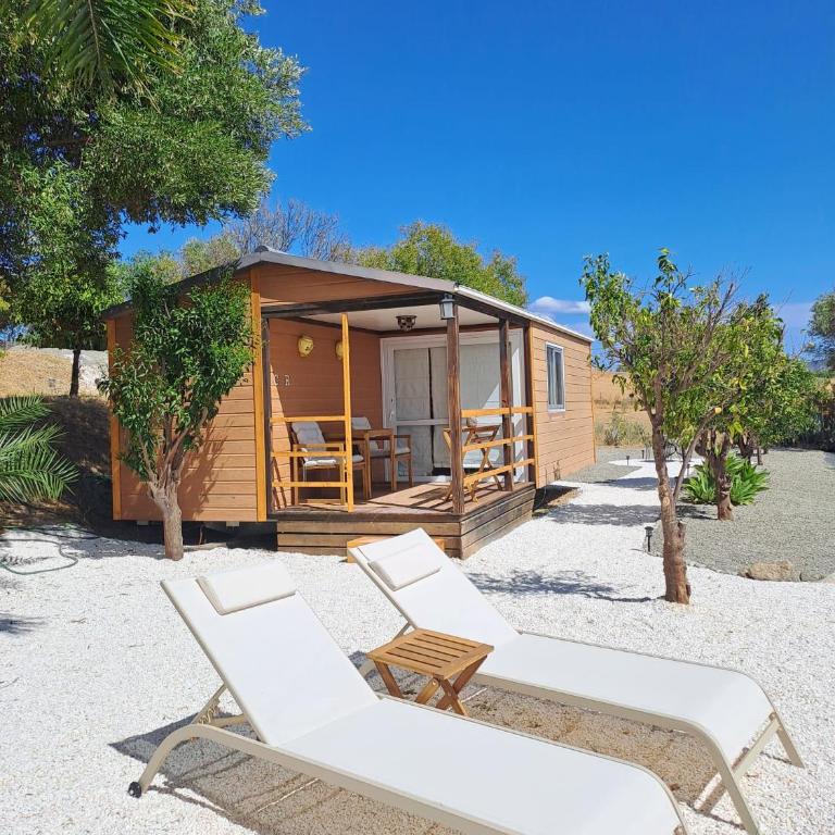 B&B Finca Miravista - One-Bedroom Chalet - 21