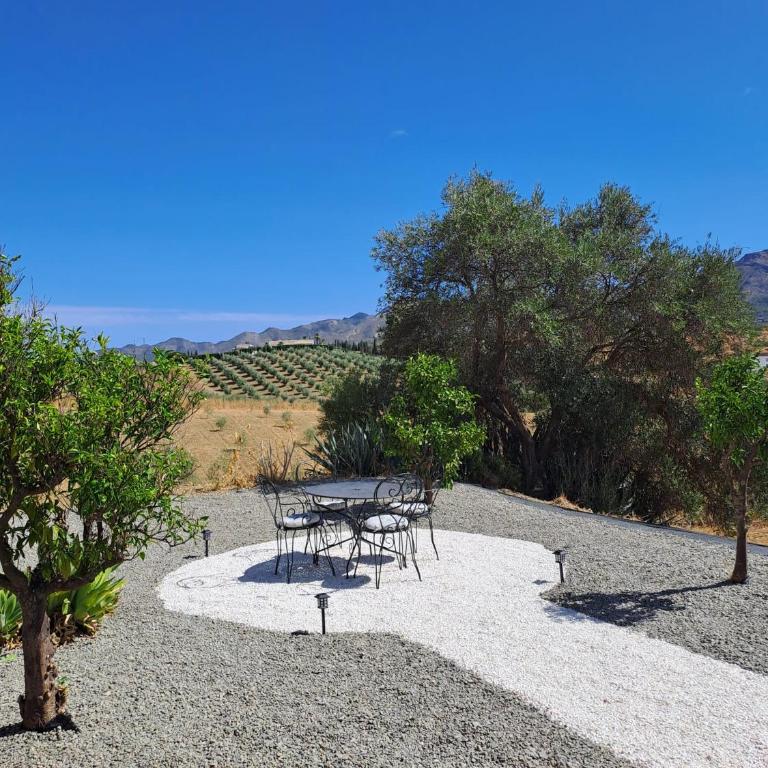 B&B Finca Miravista - One-Bedroom Chalet - 20