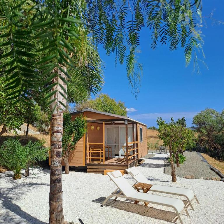 B&B Finca Miravista - One-Bedroom Chalet - 2