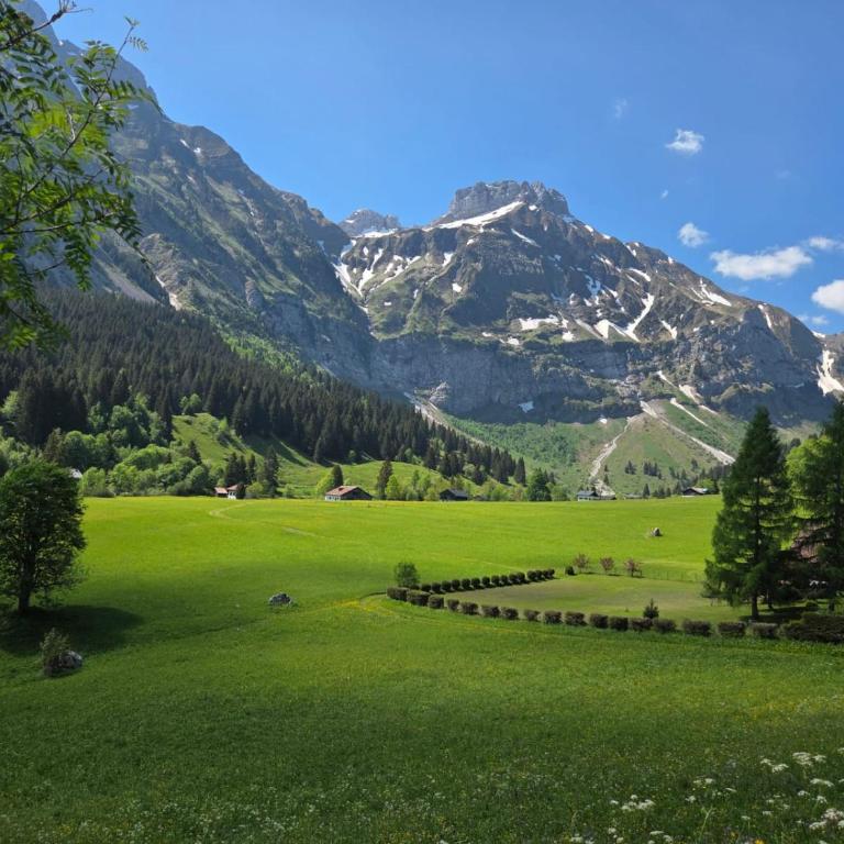 Dans un village savoyard a 1000 m d'altitude bel appartement spacieux de140m2 avec vue magnifique sur la montagne - Appartement avec Vue sur la Montagne - 32