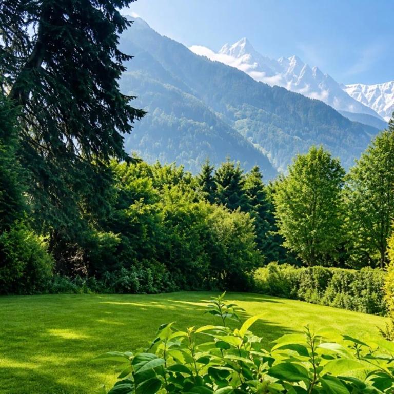 Chalet Chamonix Vue Mont-Blanc Jardin 8 pers - Chalet - 1