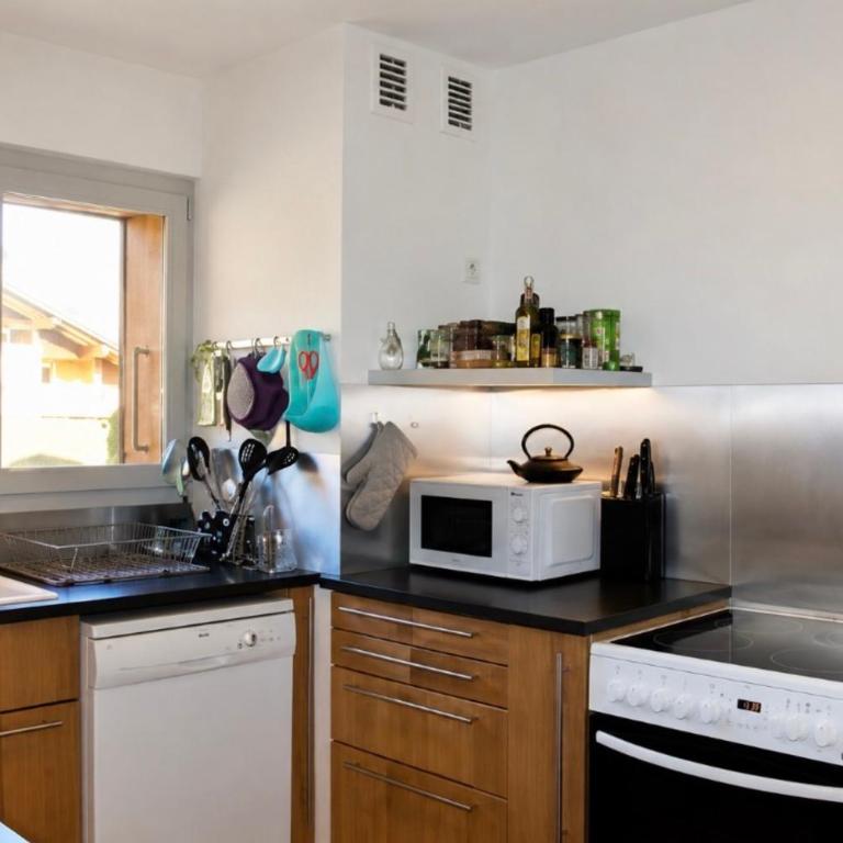 Chalet Chamonix Vue Mont-Blanc Jardin 8 pers - Chalet - 9