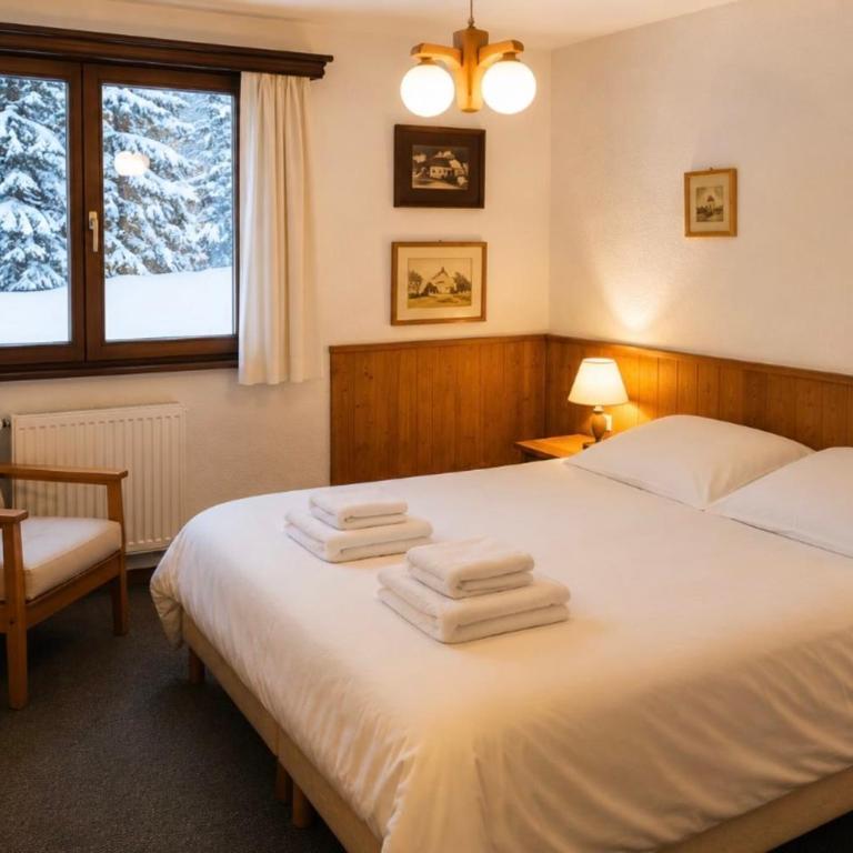 Chalet Chamonix Vue Mont-Blanc Jardin 8 pers - Chalet - 15