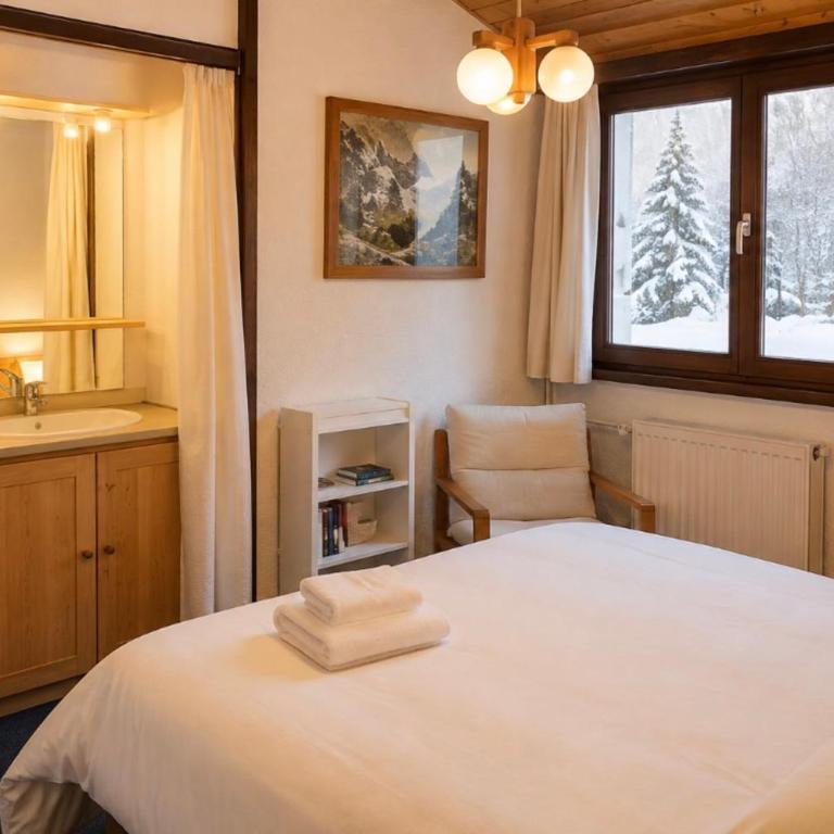Chalet Chamonix Vue Mont-Blanc Jardin 8 pers - Chalet - 16