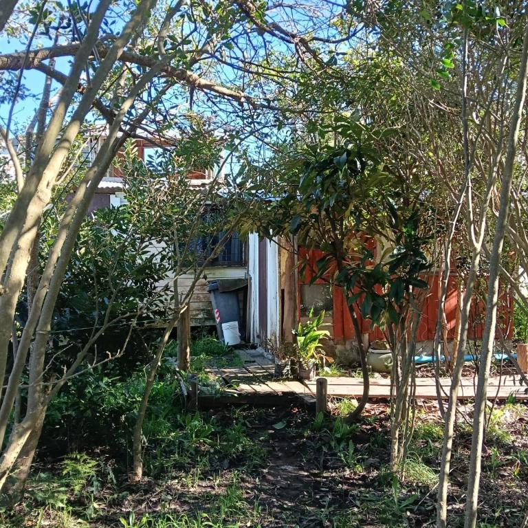 Casita en Arachania - Casa con 1 dormitorio - 16