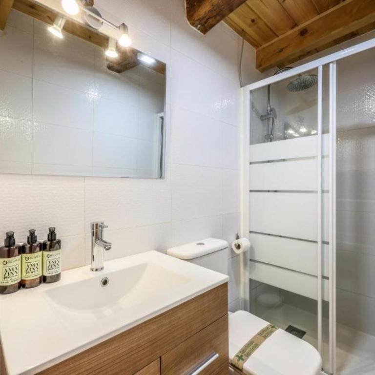 AmazINN Collection Plaza de España - Loft - 2