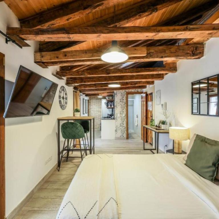 AmazINN Collection Plaza de España - Loft - 11