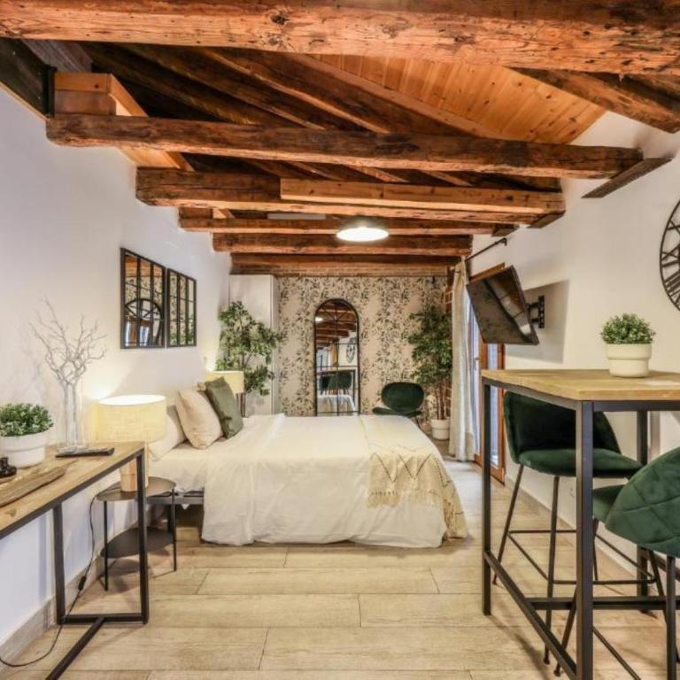 AmazINN Collection Plaza de España - Loft - 15