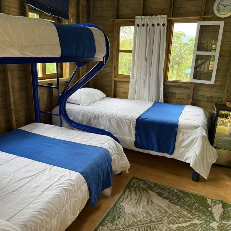 Cabañas Creation Garden - Espacio de Vida Saludable - Habitación Familiar Estándar - 5