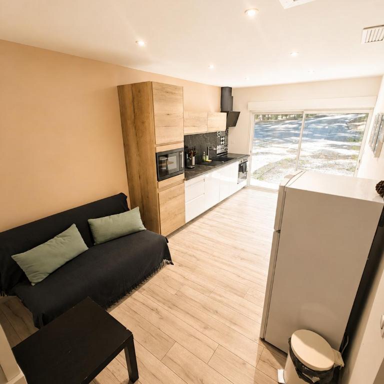 Appartement proche Dune du Pilat - Apartamento de 1 dormitorio - 5