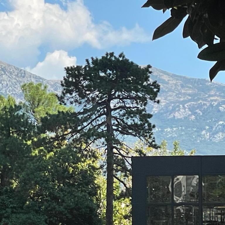 Cozy Budva Home Away - Apartman sa 1 Spavaćom Sobom - 16